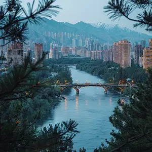 大学入学以来表现简介