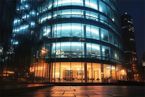 武汉大学杨芳简介